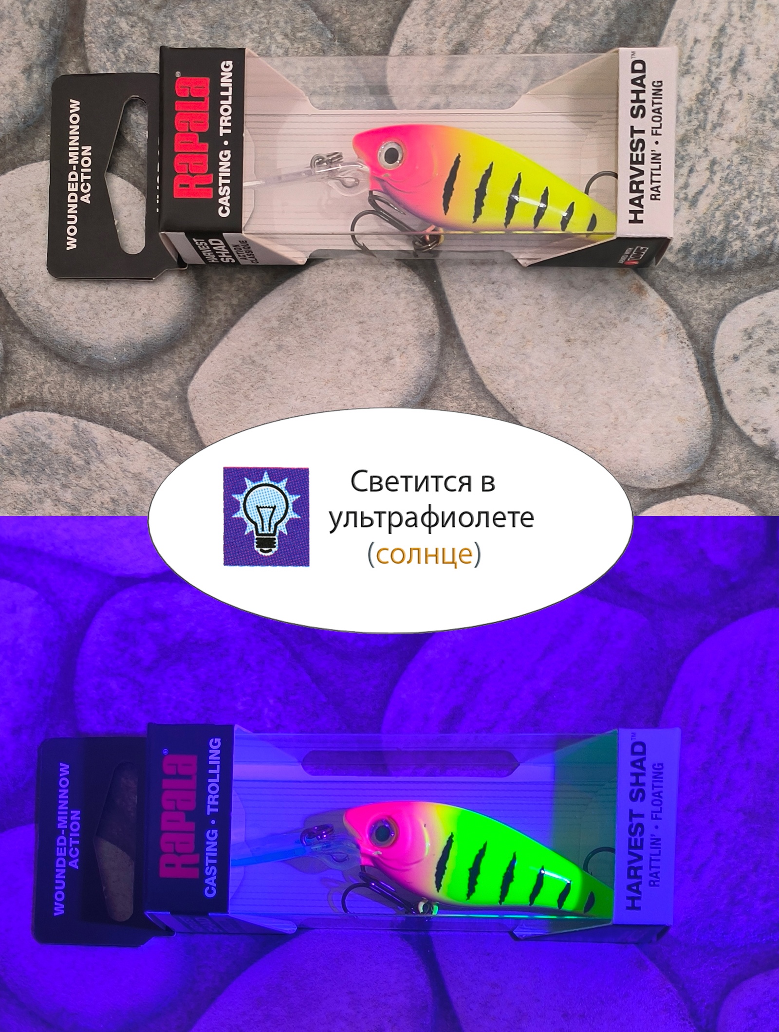 HVSD05-HSP Harvest Shad - фото5