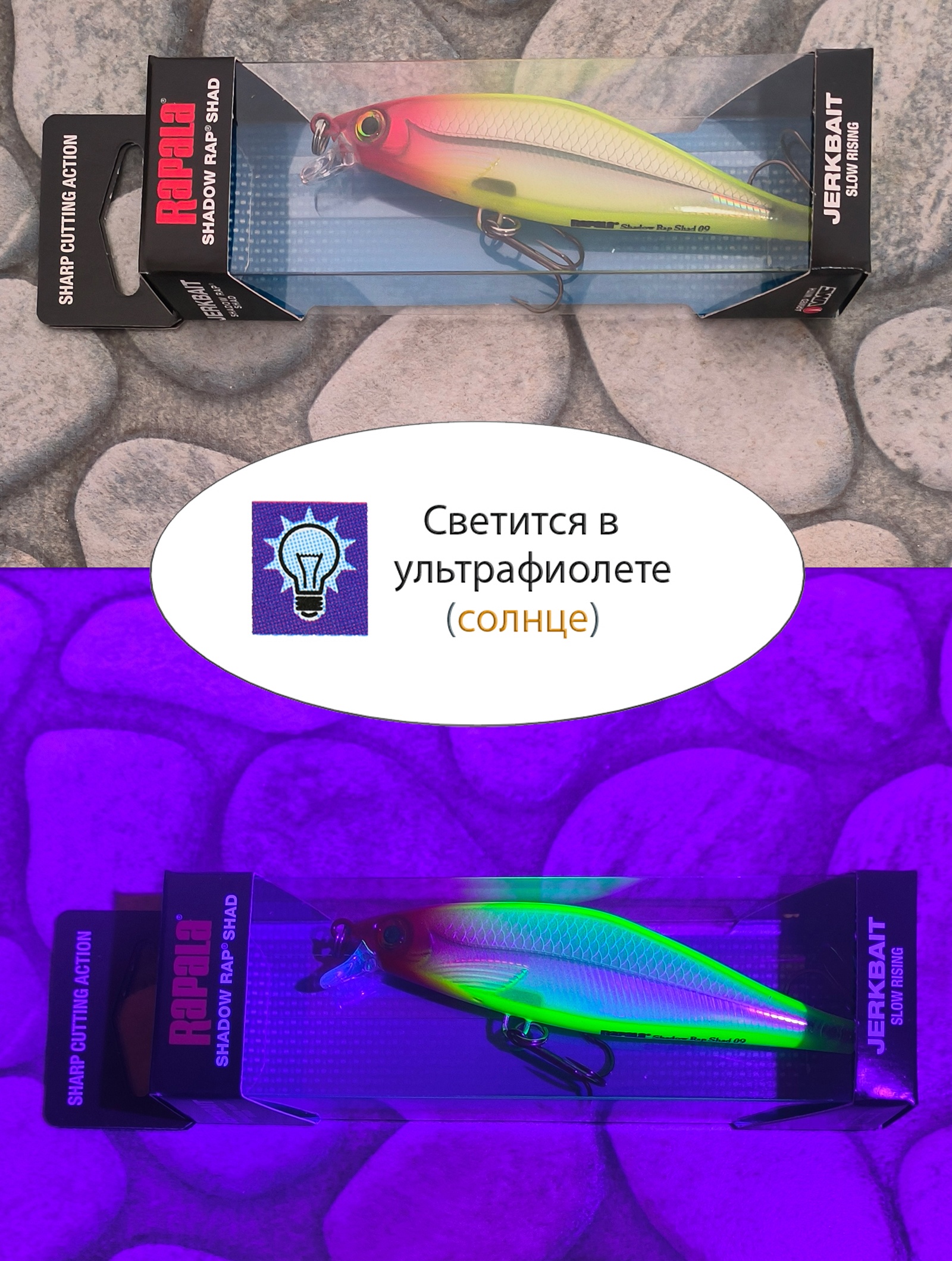 SDRS09 CLN Shadow Rap Shad - фото4