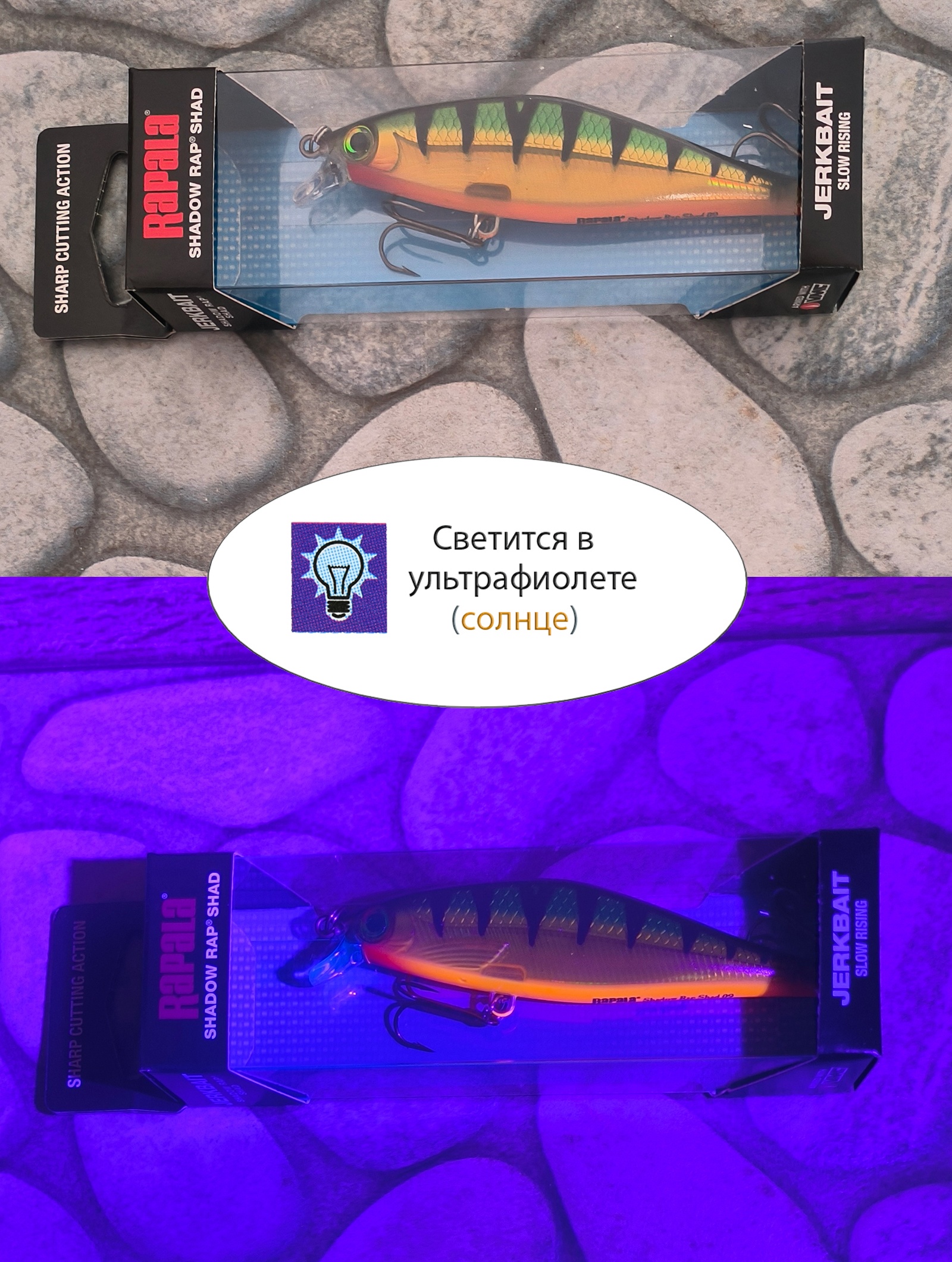 SDRS09 P Shadow Rap Shad - фото4