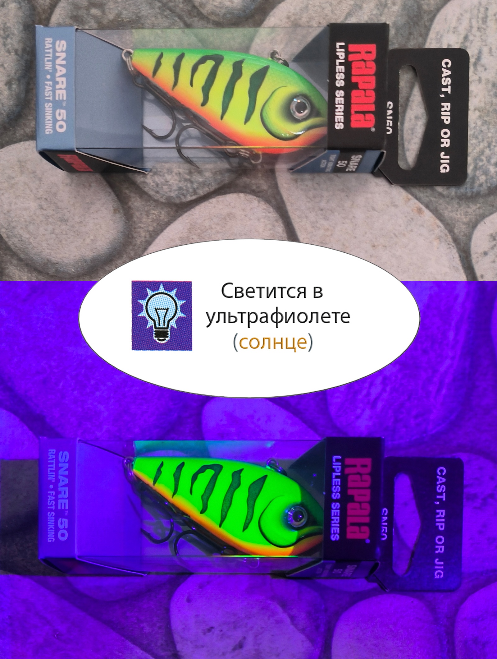 SN50-FT Snare - фото4