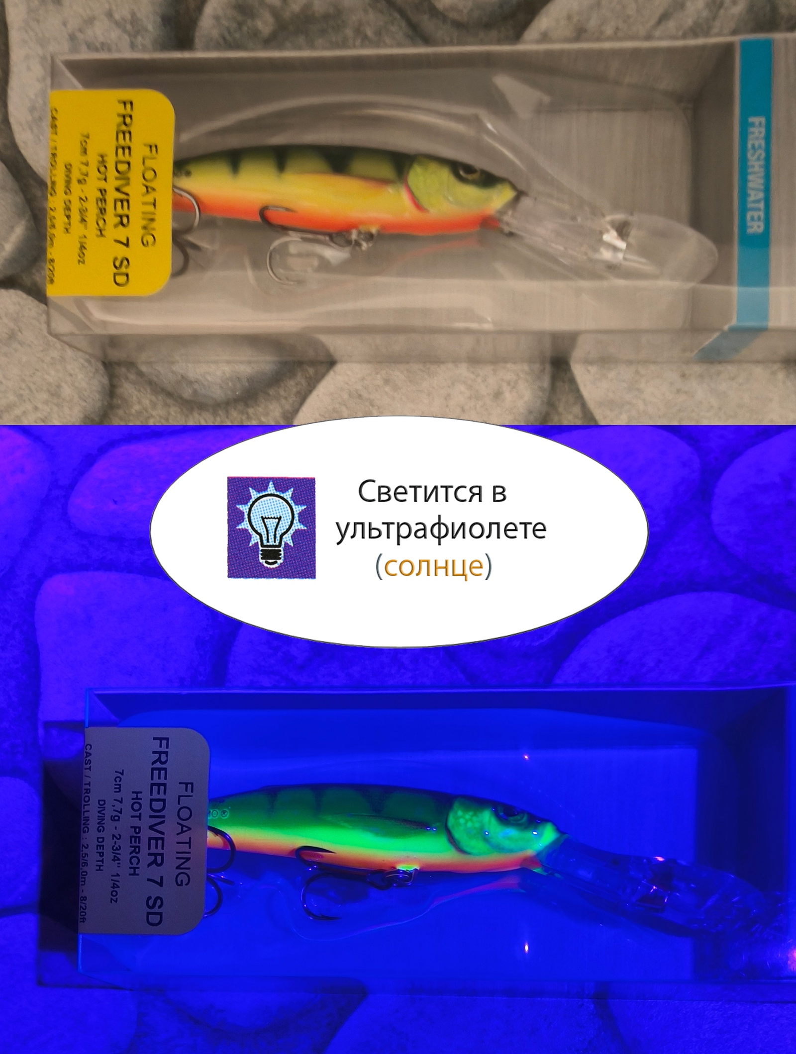 QFD092 FREEDIVER 07 SDR-HP - фото6