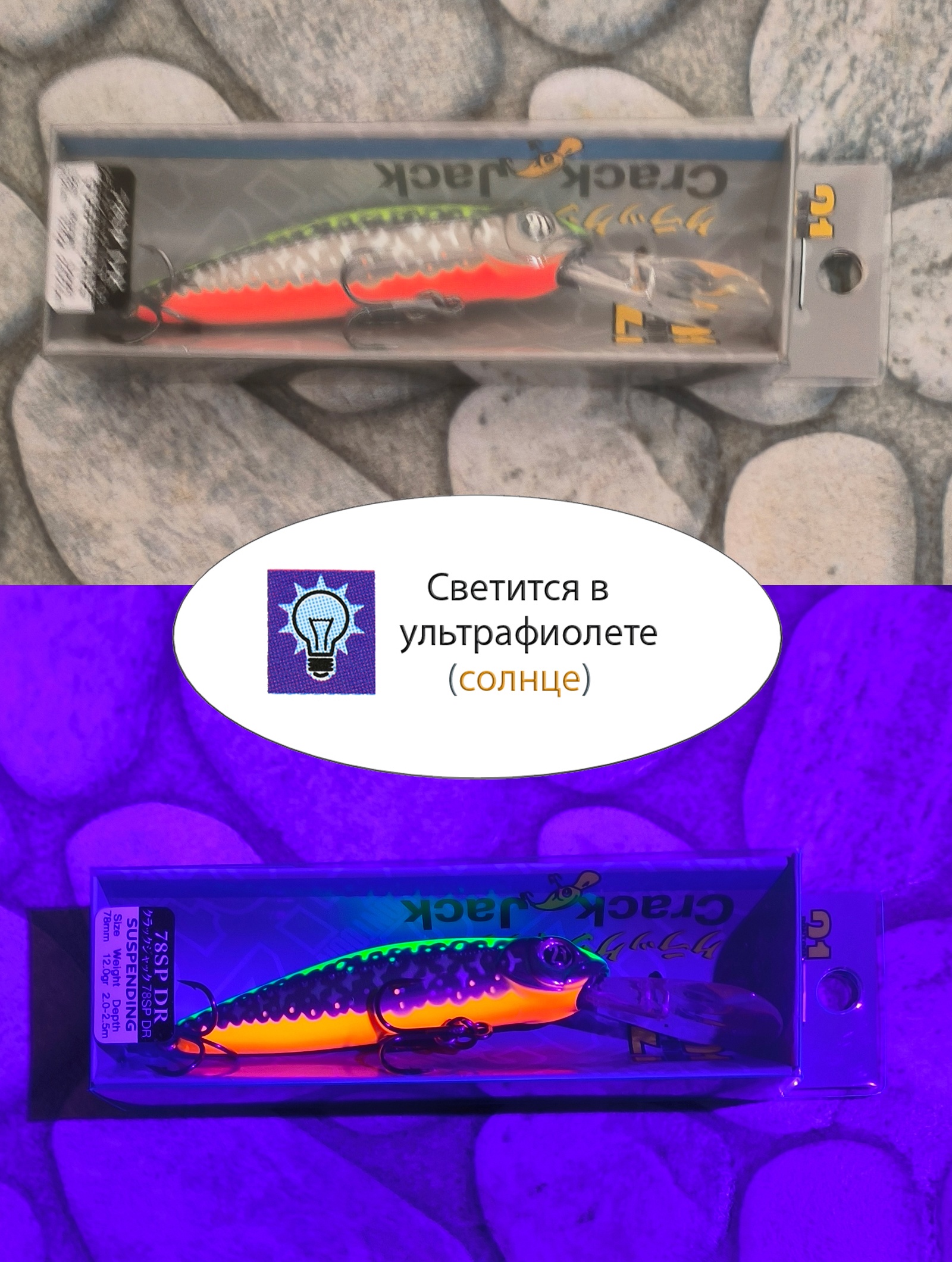 Crack Jack 78 F-DR-R66 - фото4