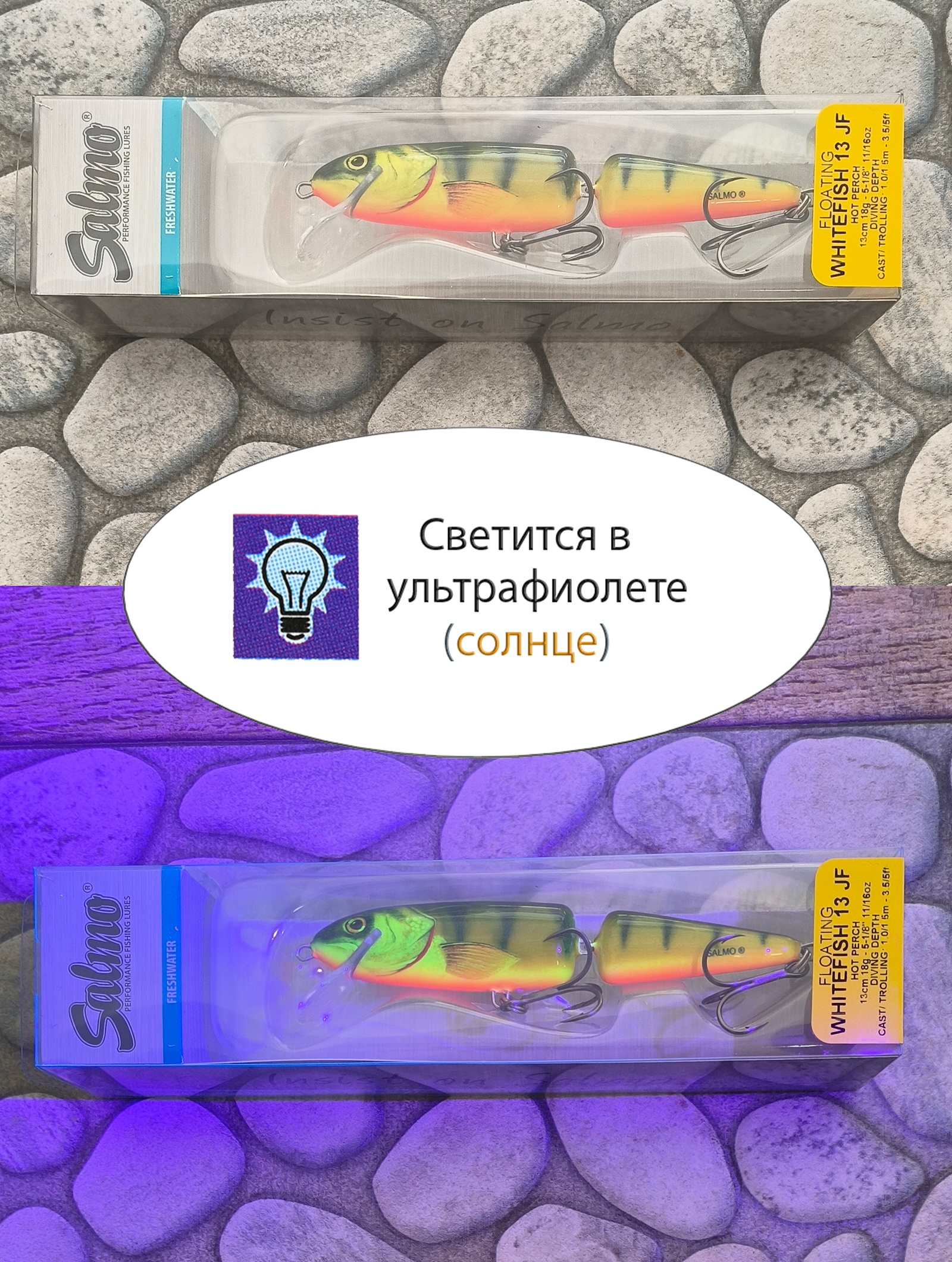 QWF015 WHITE FISH 13JR-Hot Perch - фото4