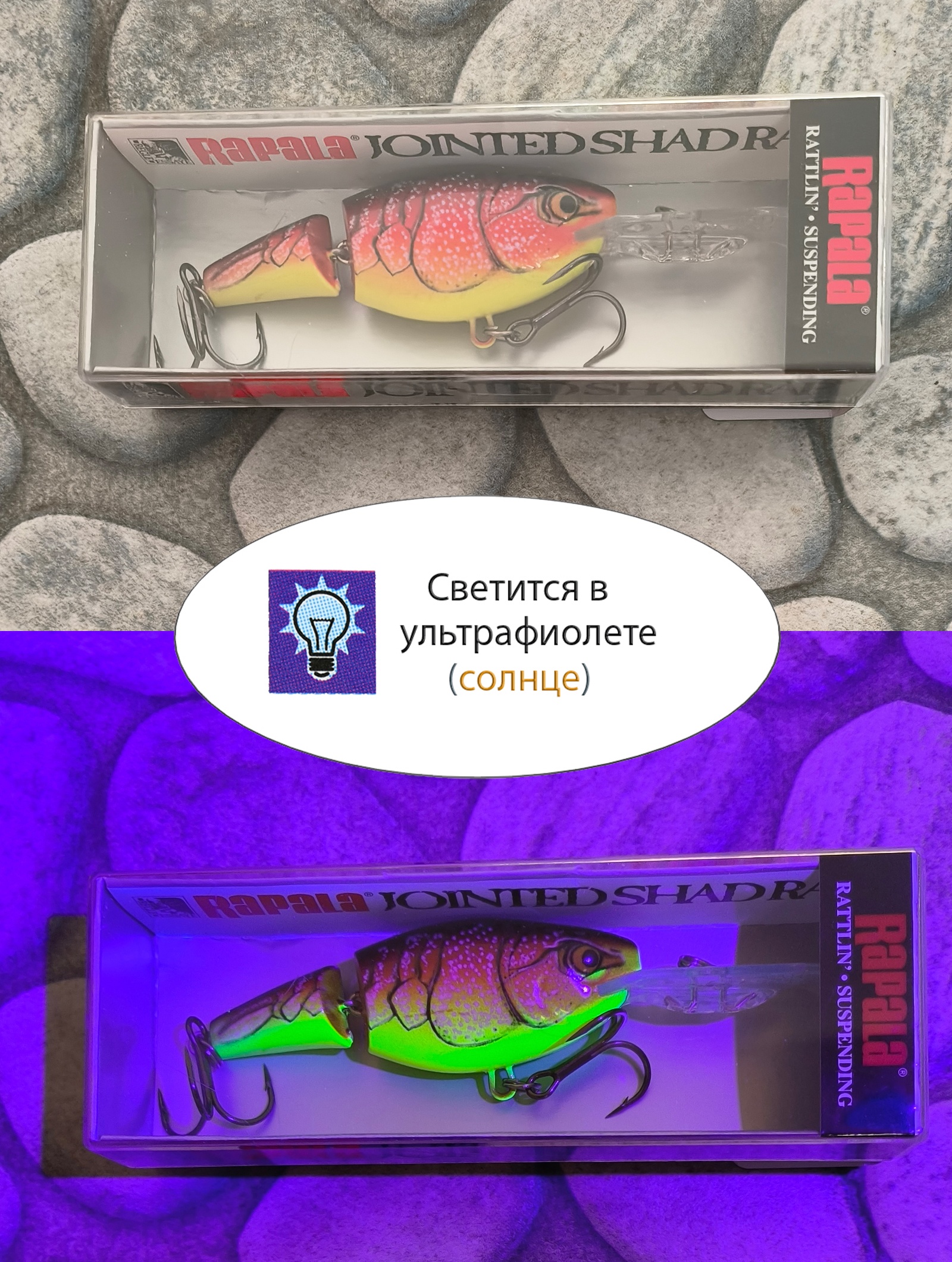 JSR05 RFCW Jointed Shad Rap - фото4