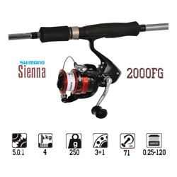 Sienna 2000FG - фото