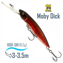 Moby Dick 100 F-DR-305 - фото