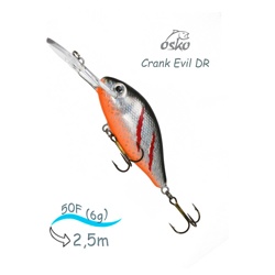 ODE05-48 New Evil DR - фото