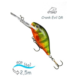 ODE05-51 Evil DR - фото