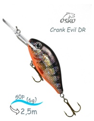 ODE05-07 Evil DR - фото