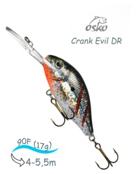 ODE09-35 Evil DR - фото