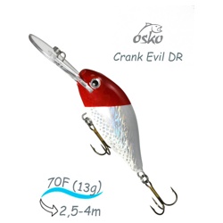 ODE07-45 Evil DR - фото