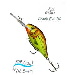 ODE07-71 Evil DR - фото