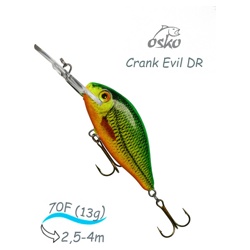 ODE07-88 Evil DR - фото