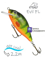 OFE08-51 Evil FL - фото