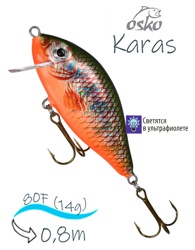 OFK08-09 Karas - фото