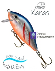 OFK08-47New Karas - фото