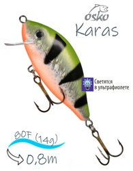 OFK08-49 Karas - фото