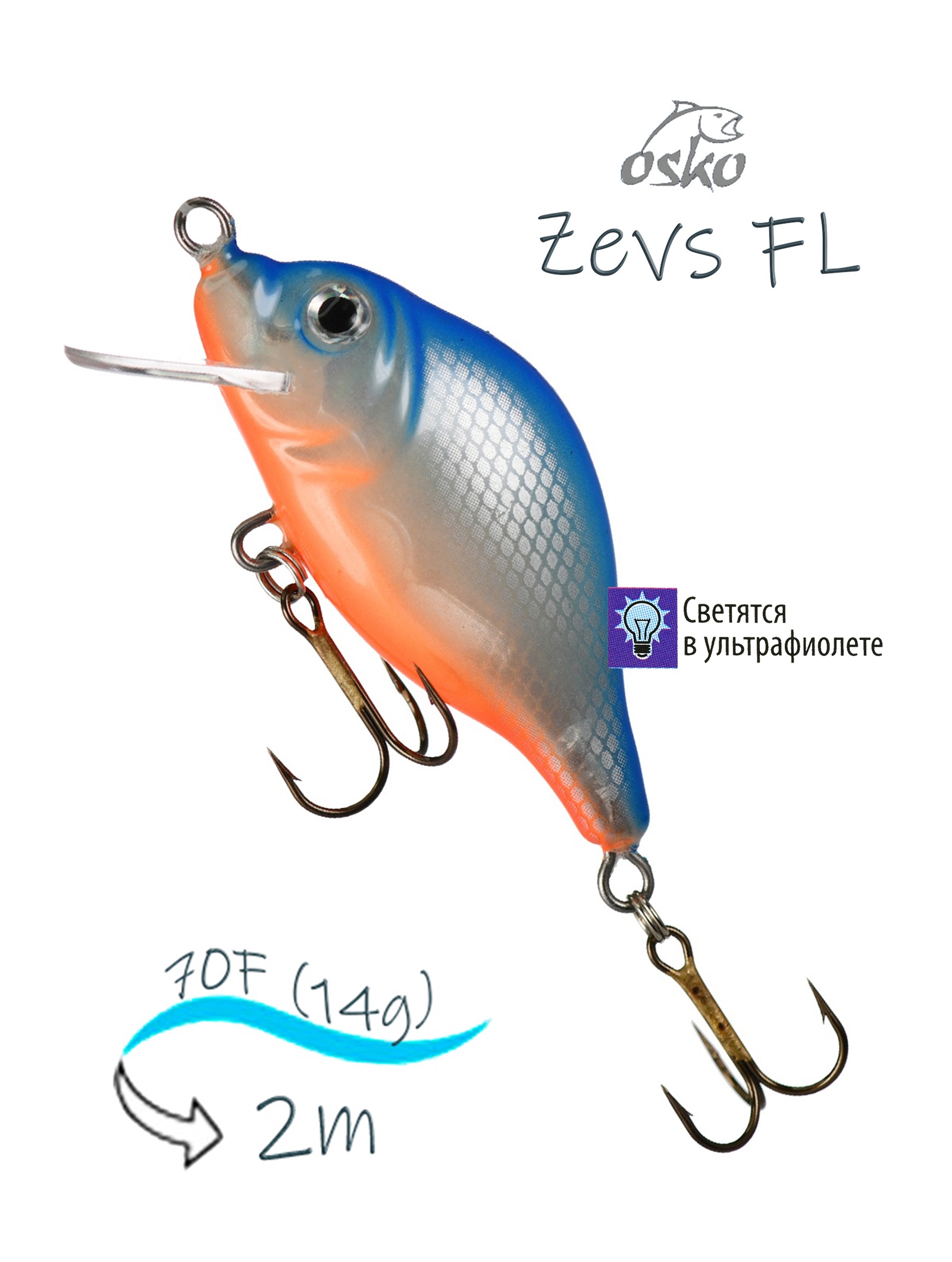 OFZ07-47 Zevs FL