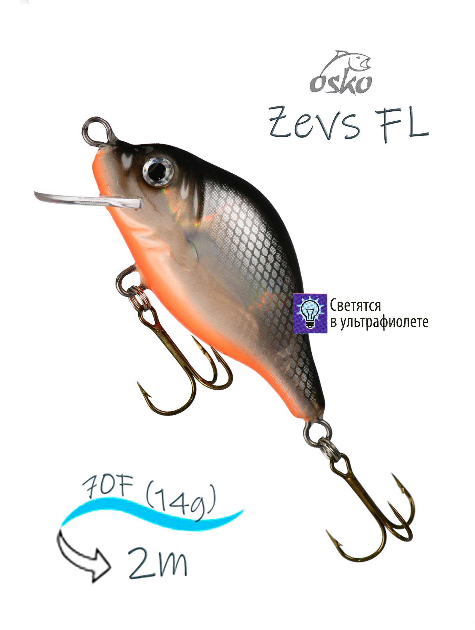 OFZ07-48 Zevs FL