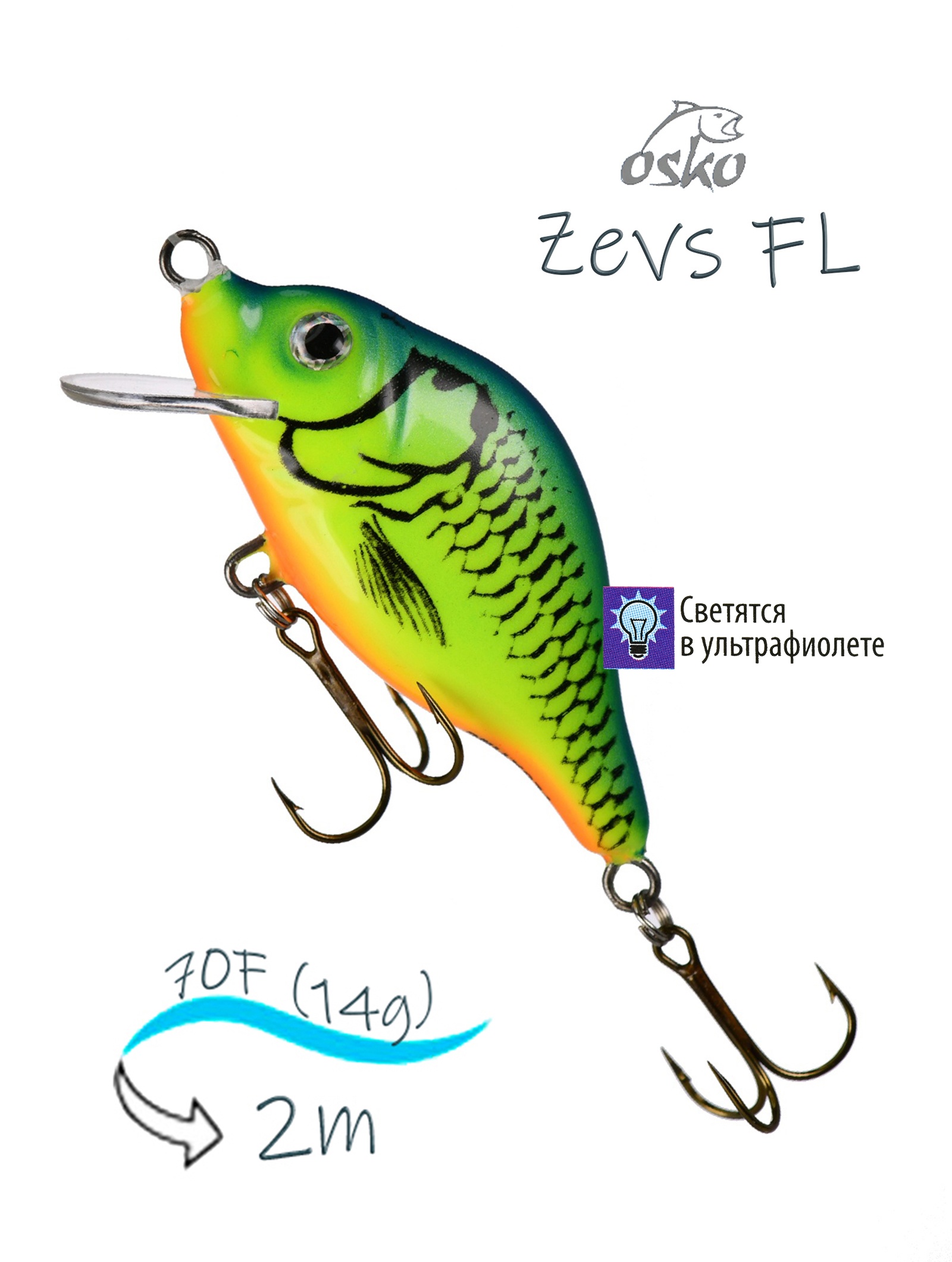 OFZ07-84 Zevs FL
