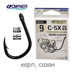 C-5X-09 Iseama X with EYE - фото