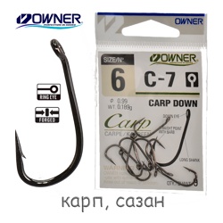 C-7-06 Carp Down - фото