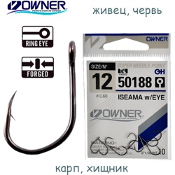 50188-12 Iseama with Eye - фото