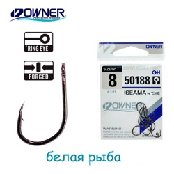 50188-08 Iseama with Eye - фото