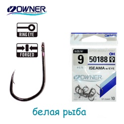 50188-09 Iseama with Eye - фото