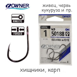 50188-01 Iseama with Eye - фото