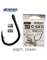 C-5X-10 Iseama X with EYE - фото