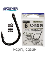 C-5X-06 Iseama X with EYE - фото