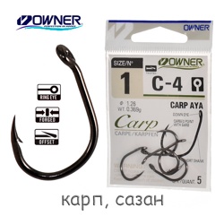 C-4-01 Carp Aya - фото
