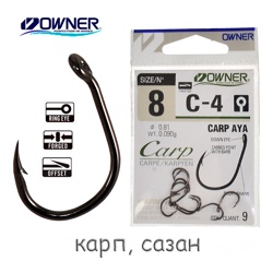 C-4-08 Carp Aya - фото