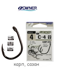 C-4-04 Carp Aya - фото