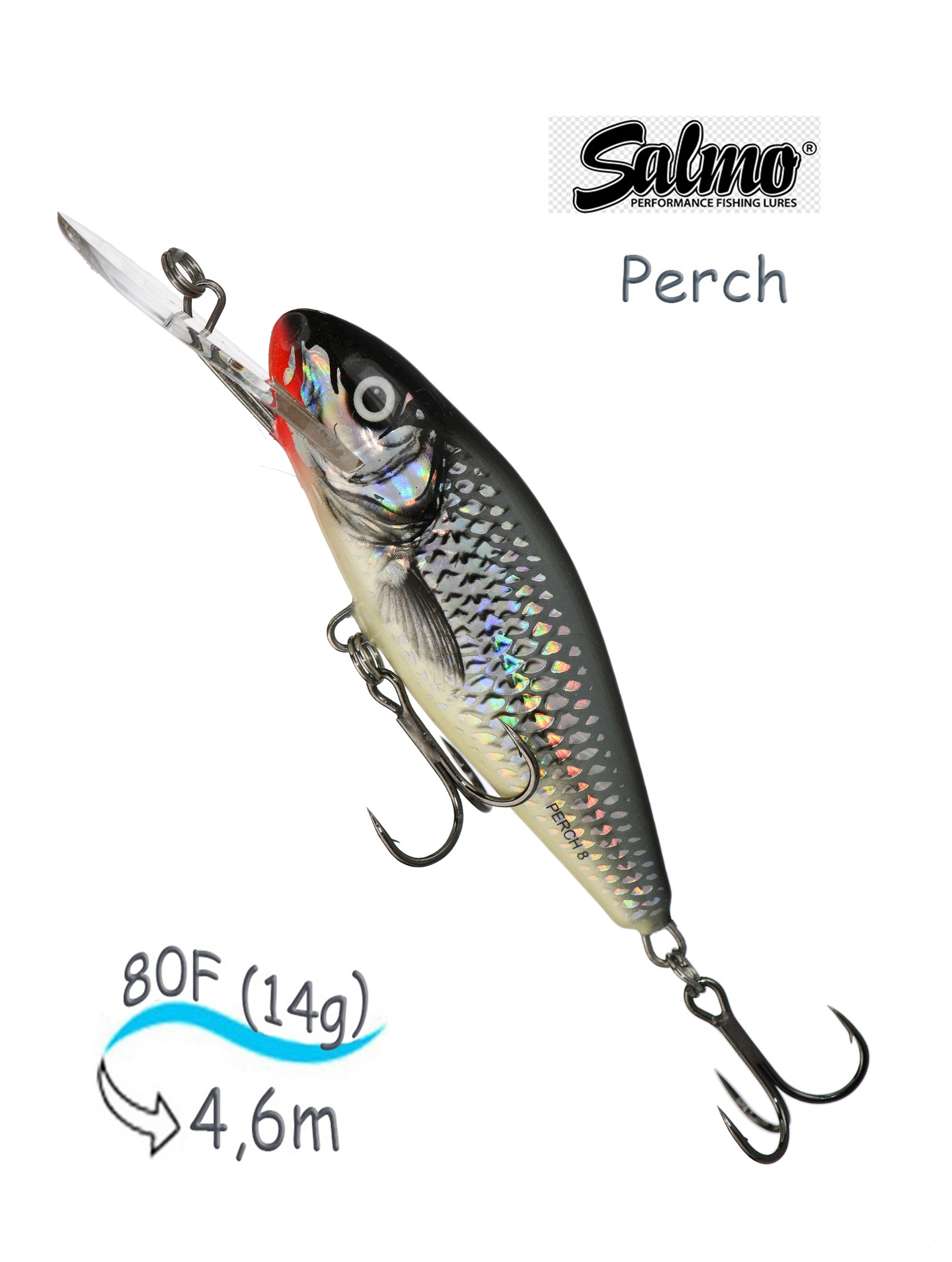 Perch PH-080DR-HGS QPH001