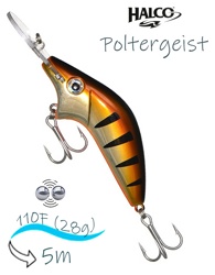 Poltergeist-110 R06 - фото