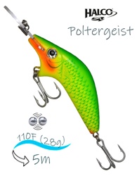 Poltergeist-110 R07 (Glo) - фото