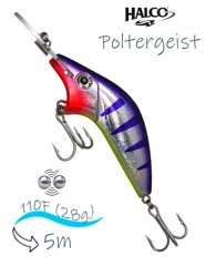 Poltergeist-110 R24 - фото