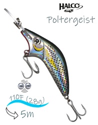 Poltergeist-110 R25 - фото