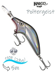 Poltergeist-110 Rus01 - фото