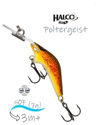 Poltergeist 50 H59 - фото