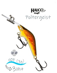 Poltergeist 50 H59 - фото