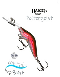 Poltergeist 50 H60 - фото