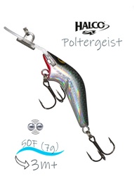Poltergeist 50 RUS1 - фото