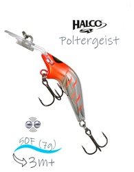 Poltergeist 50 RUS4 - фото