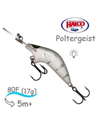 Poltergeist 80 H91 - фото