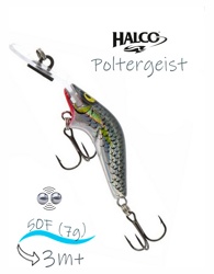Poltergeist 50 R25 - фото