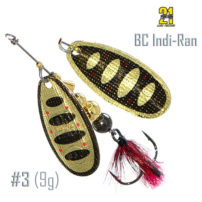 BC Indi-Ran 3-B04-001