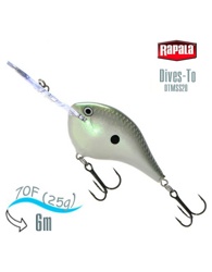 DTMSS20 GGSD - фото